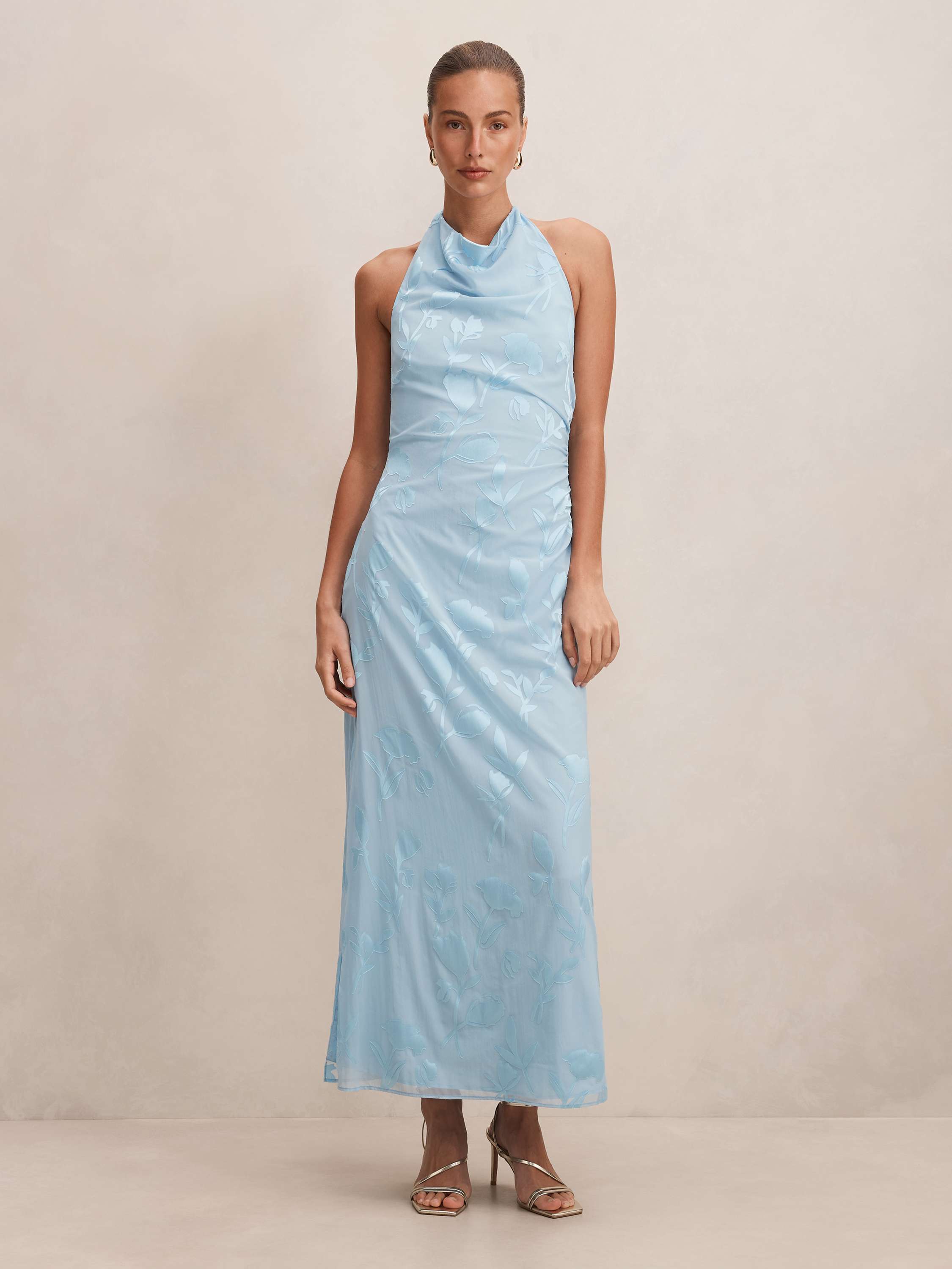 Della Sheer Maxi Dress