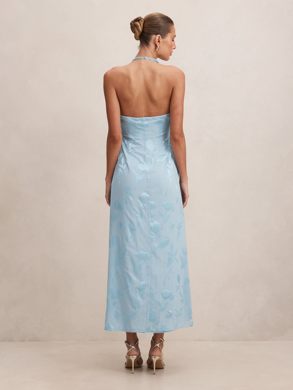 Della Sheer Maxi Dress