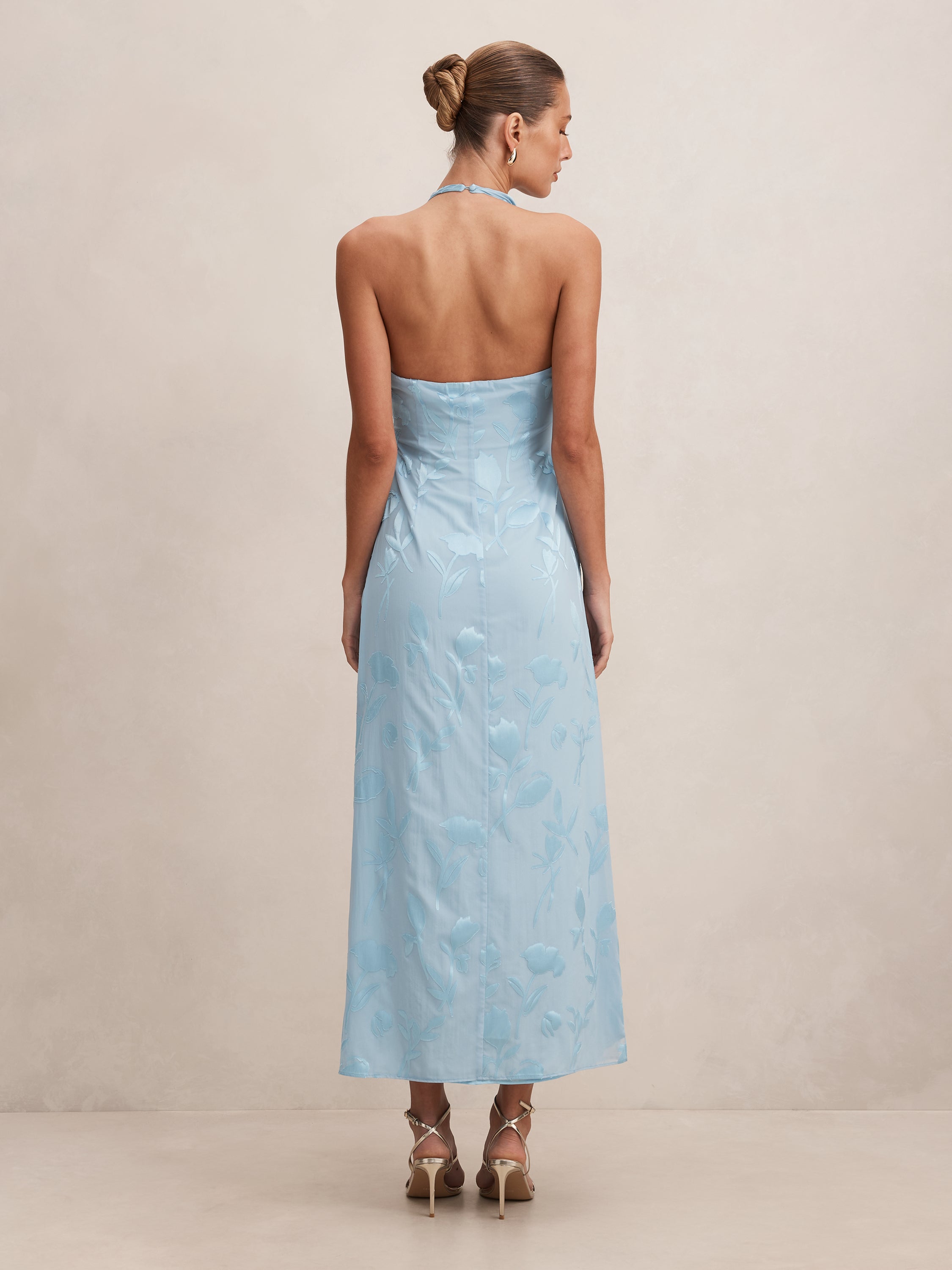 Della Sheer Maxi Dress