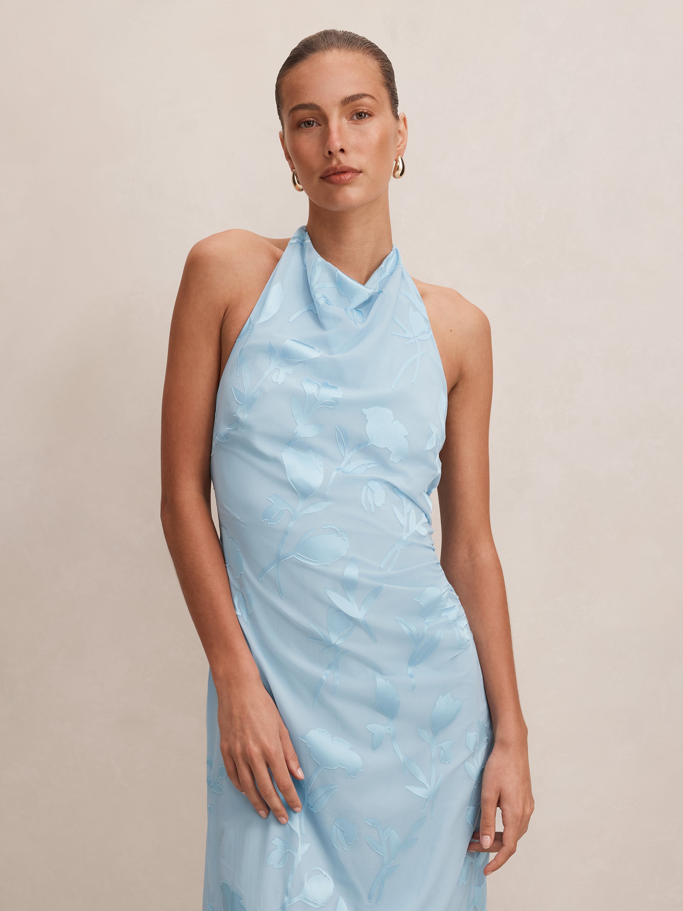 Della Sheer Maxi Dress