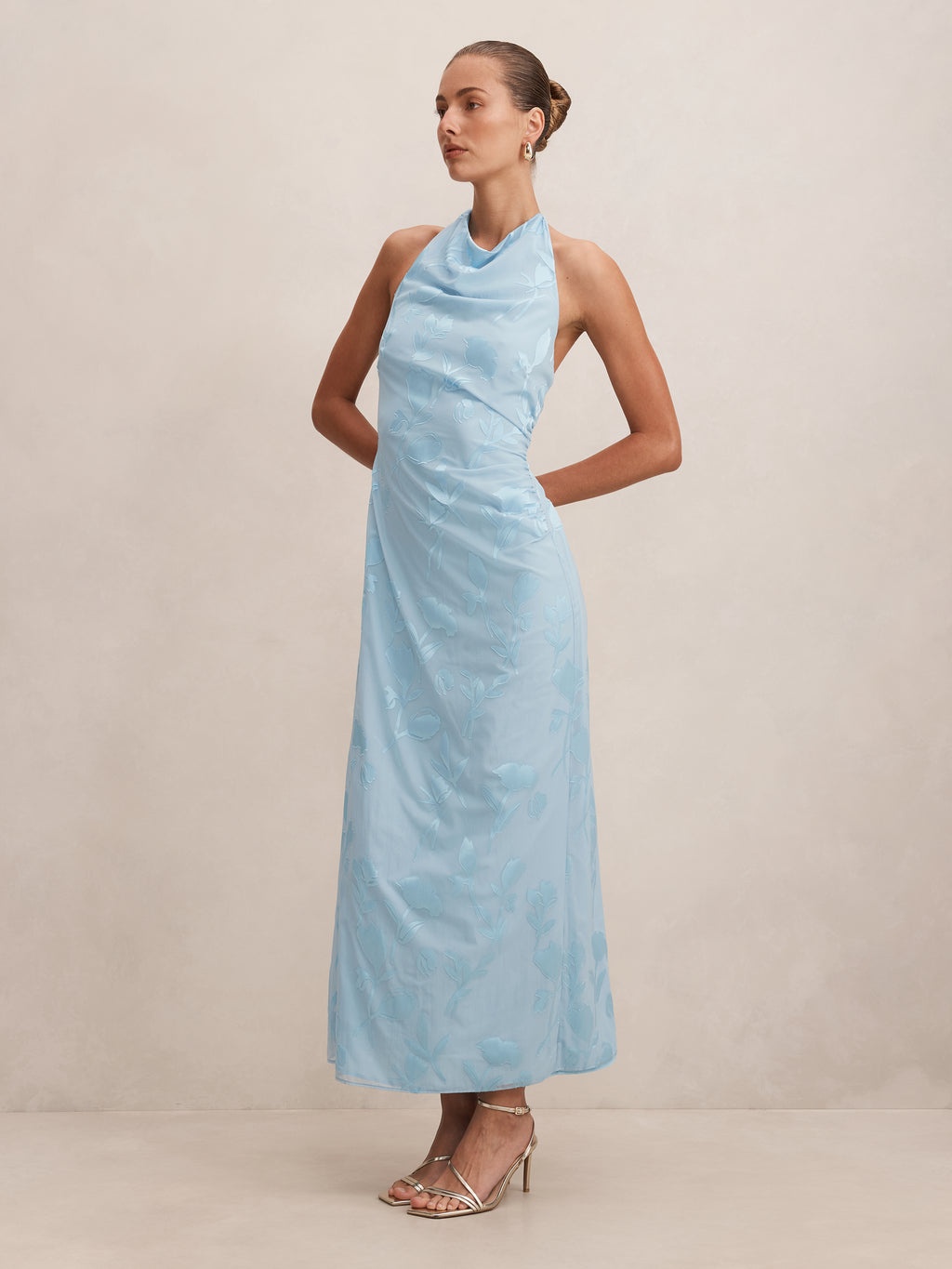 Della Sheer Maxi Dress