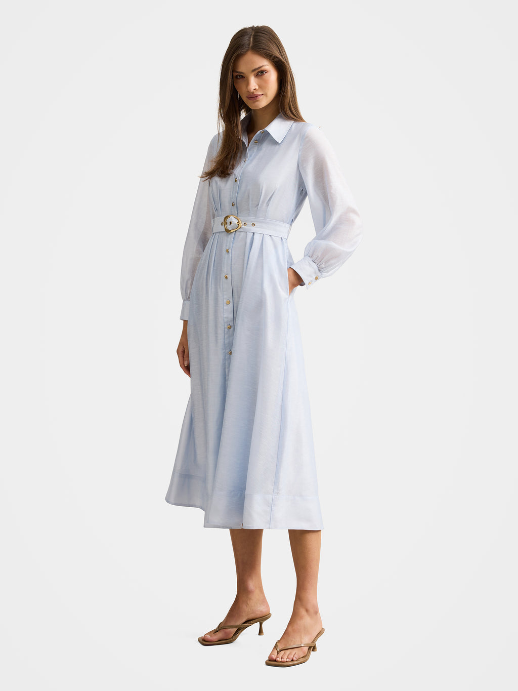 Evelyn Seam Detail Midi Dress