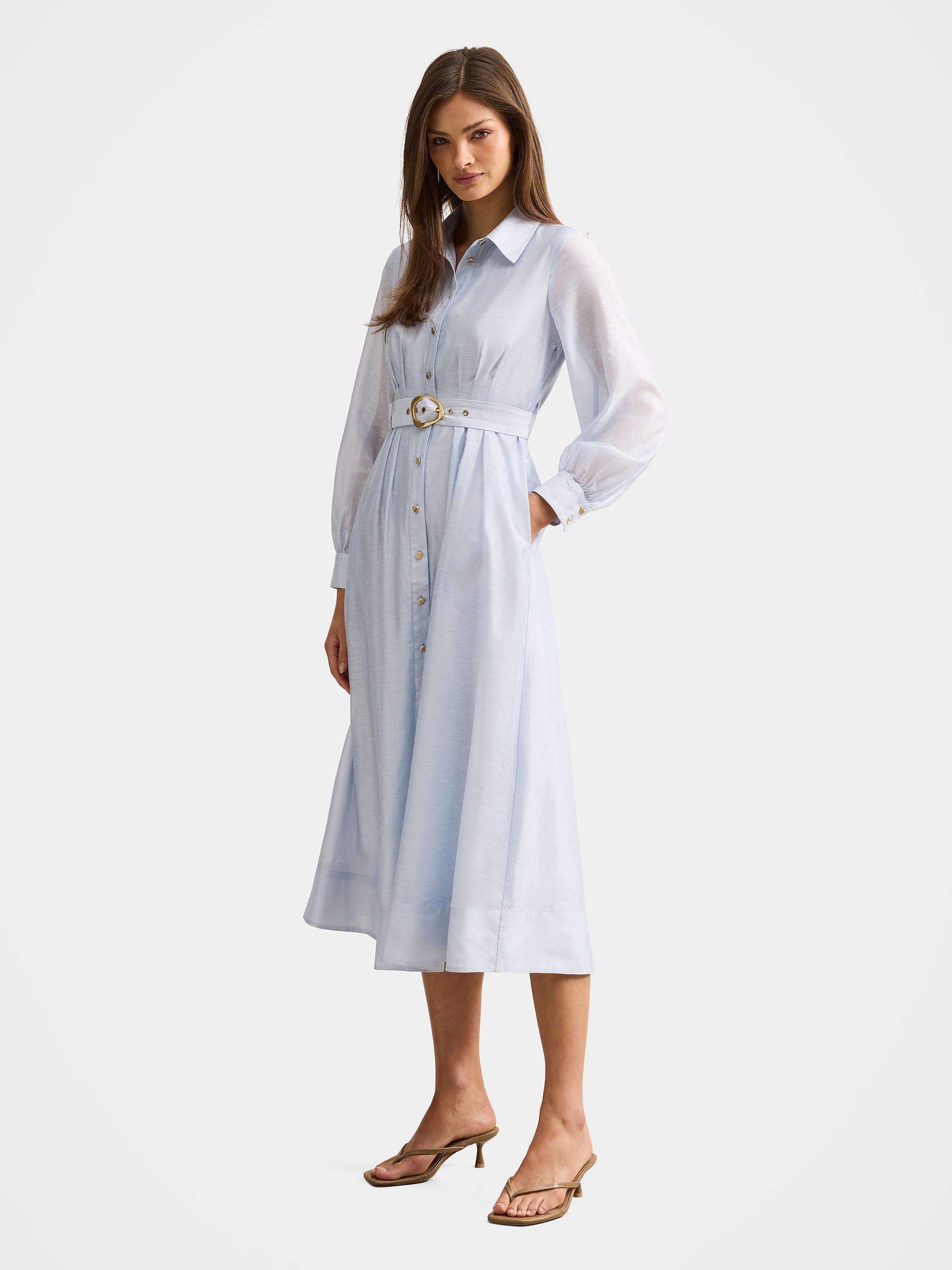 Evelyn Seam Detail Midi Dress