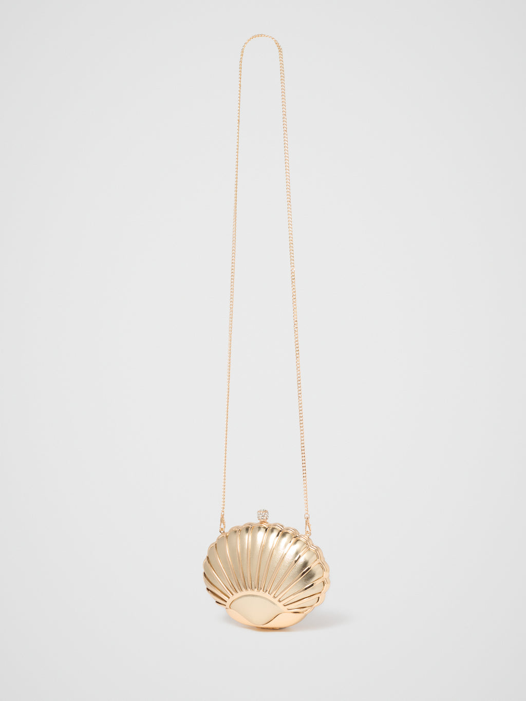 Lizzie Shell Hardcase