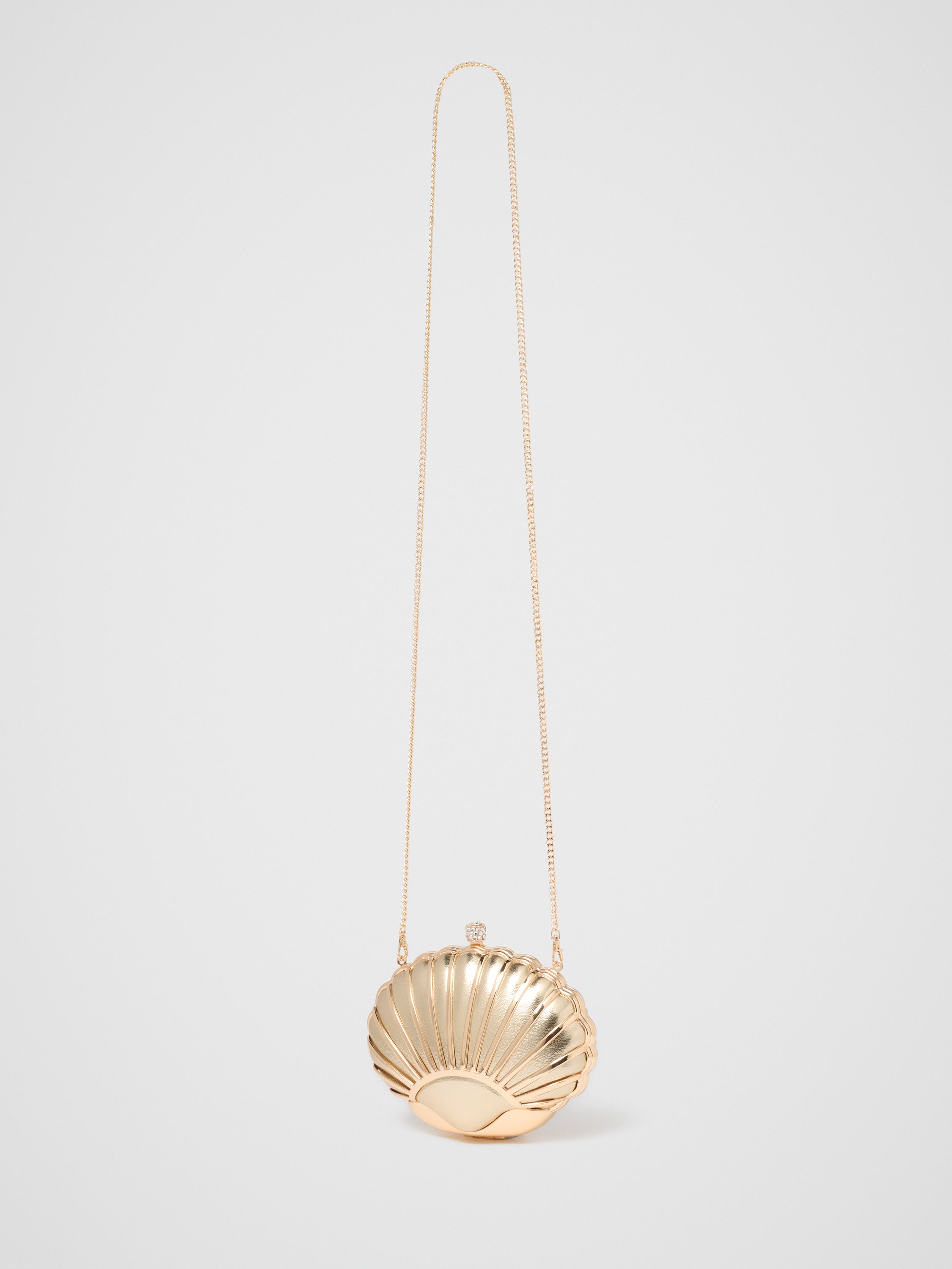 Lizzie Shell Hardcase