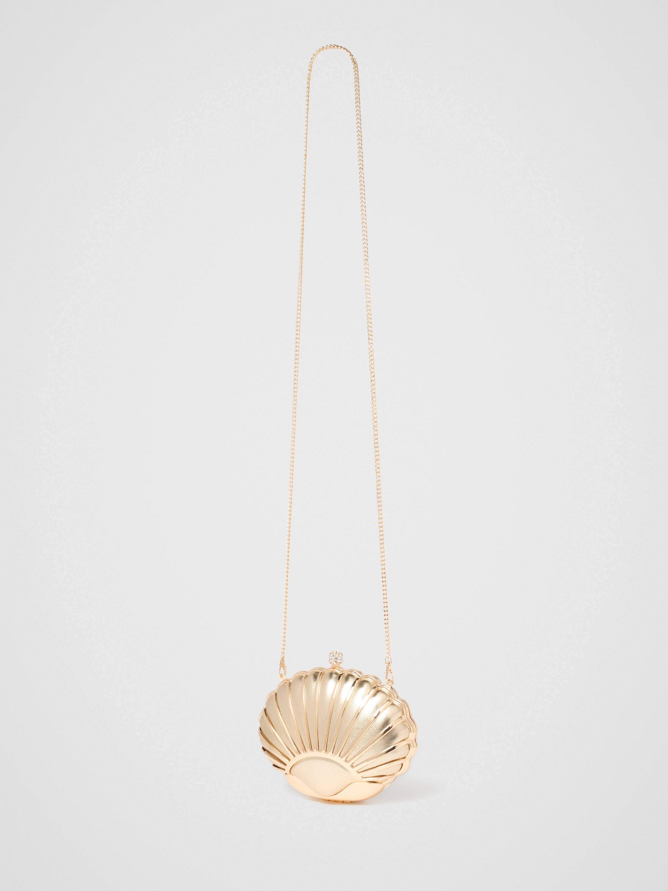 Lizzie Shell Hardcase