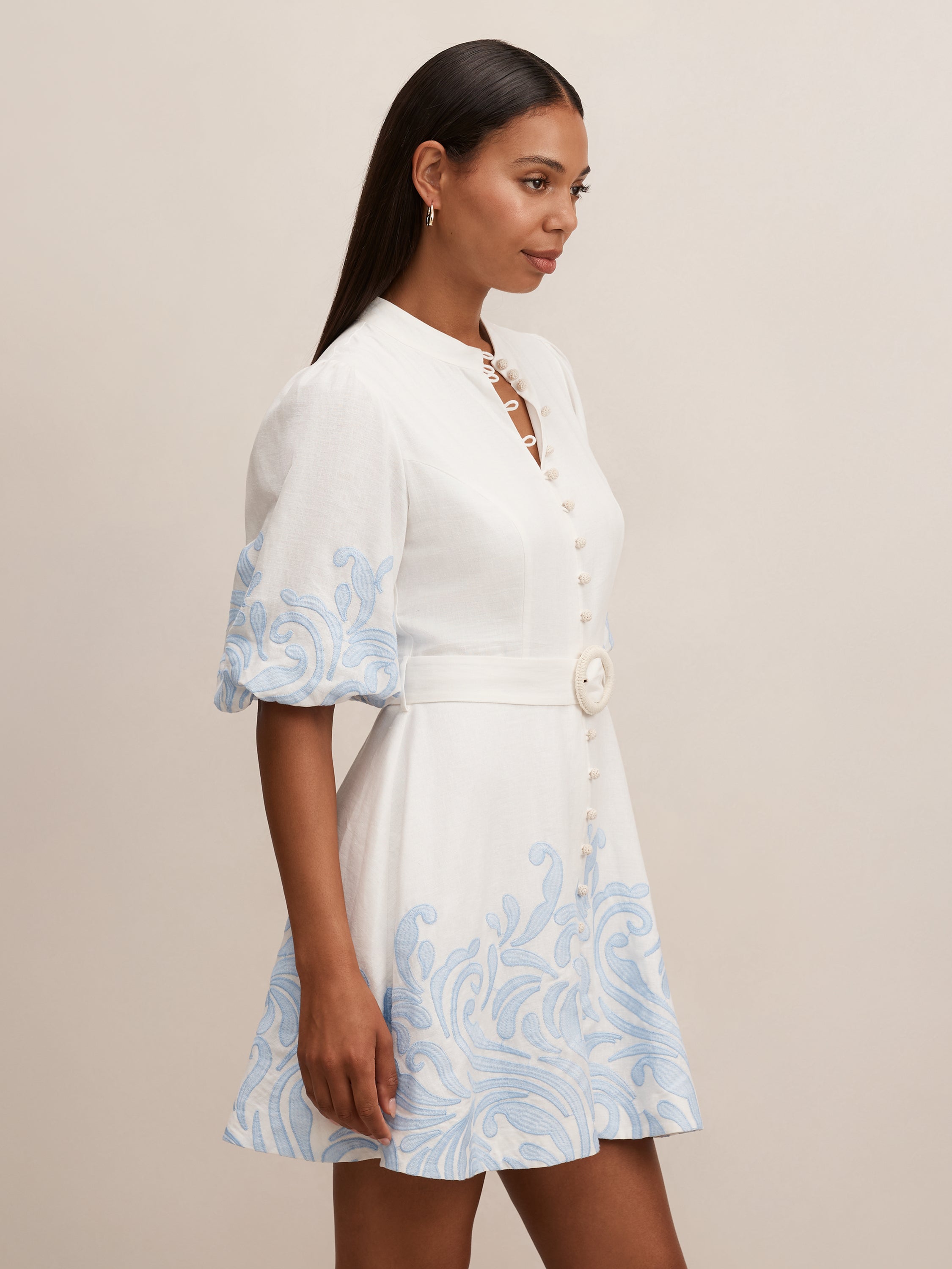 Eva Embroidered Mini Dress