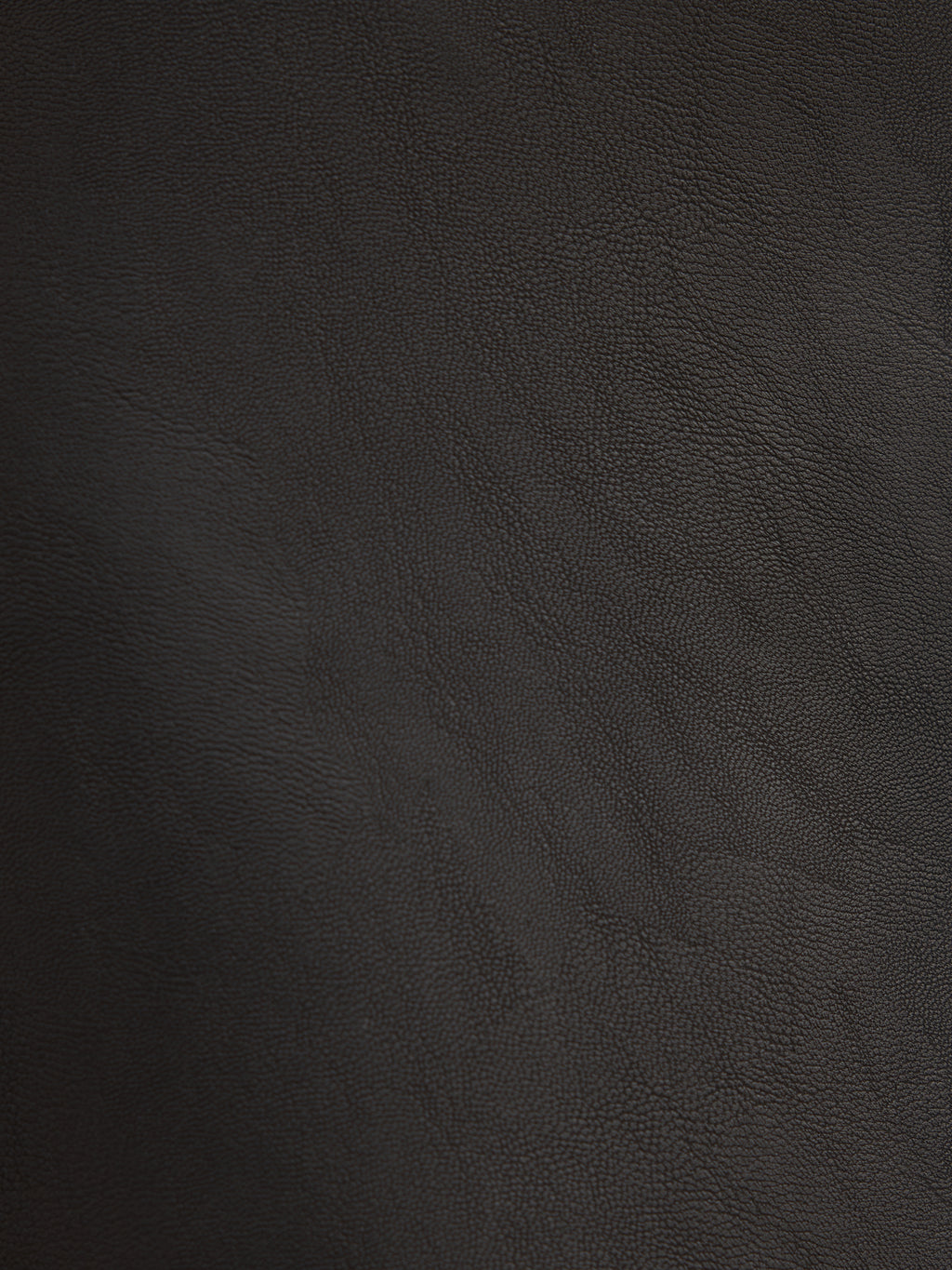 Lauren Vegan Leather Mini Skirt
