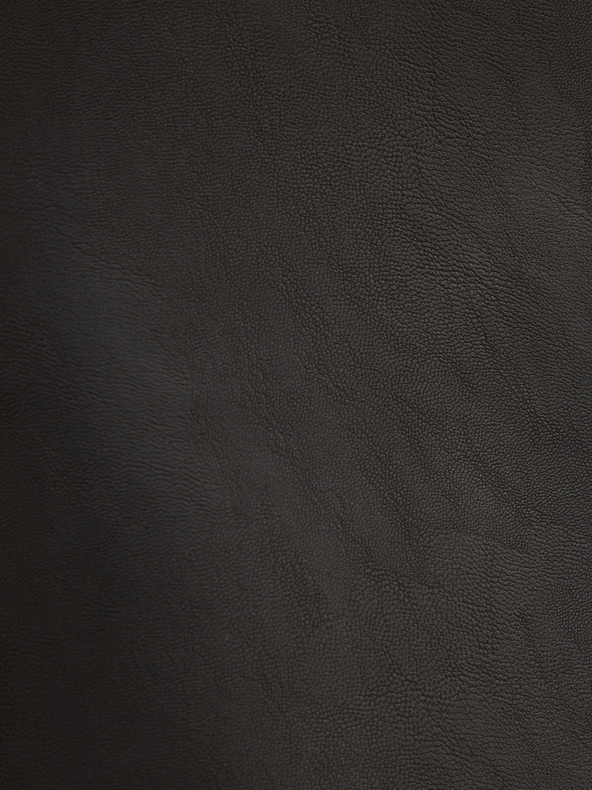 Lauren Vegan Leather Mini Skirt