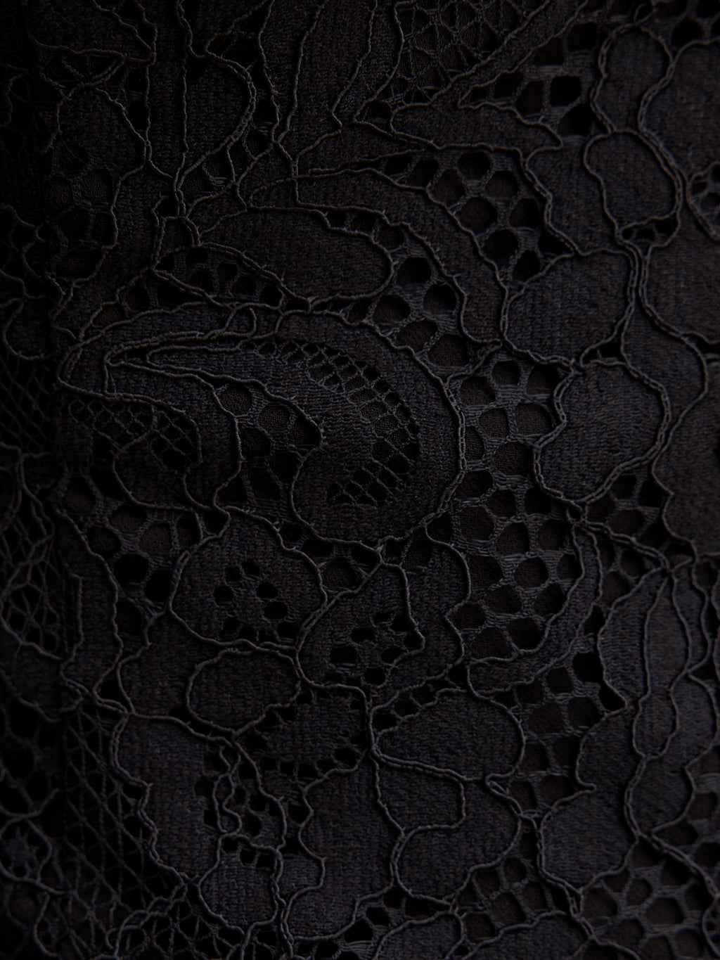Vienna Lace V Neck Top