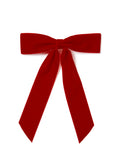 Vivian Velvet Bow