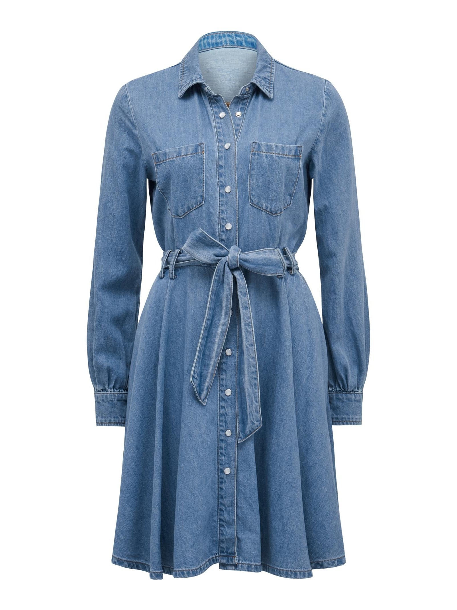  Colette Petite Denim Shirt Dress