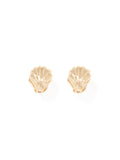 Sabrina Shell Clasp Earring