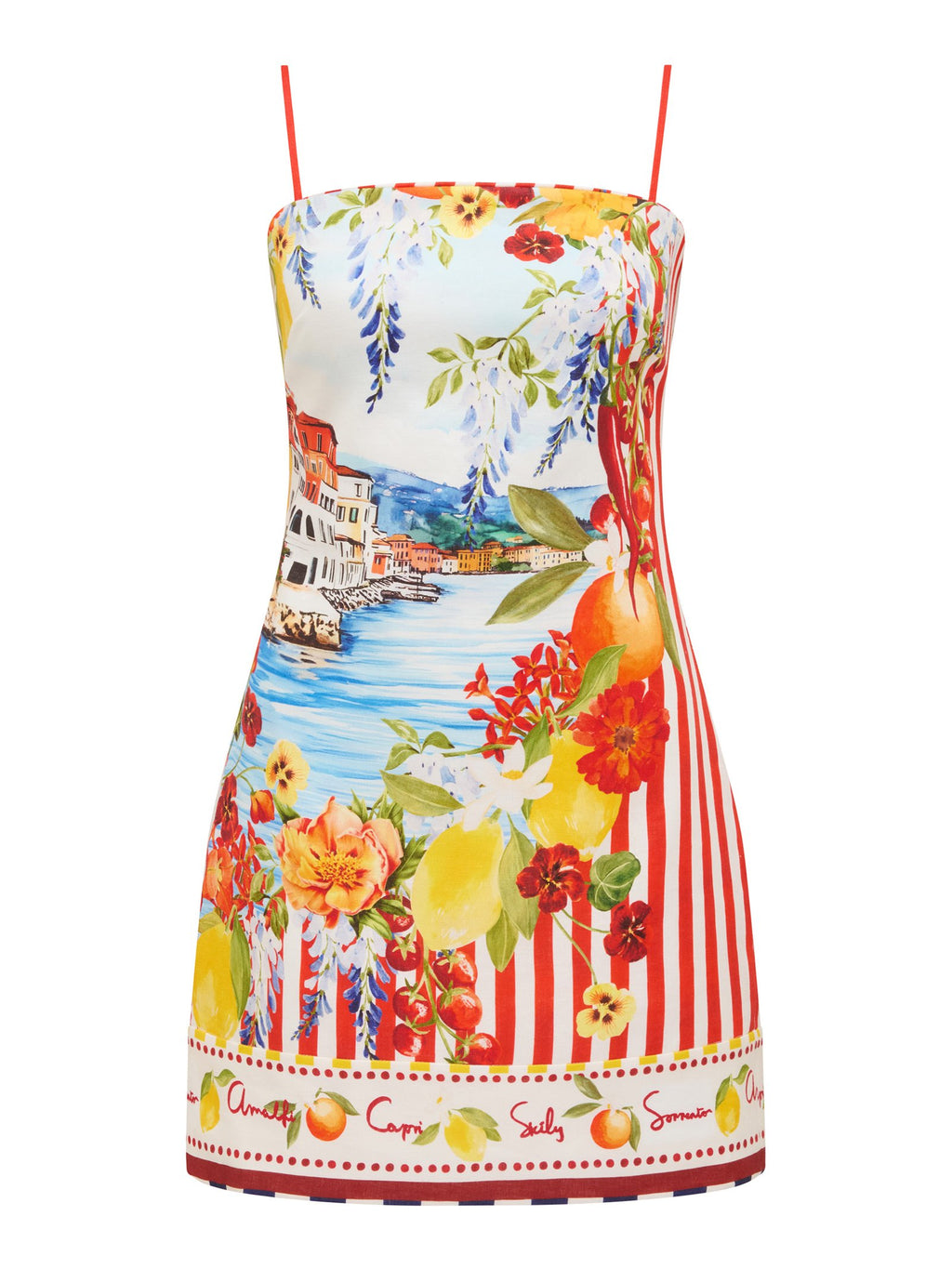  Sierra Printed Mini Dress