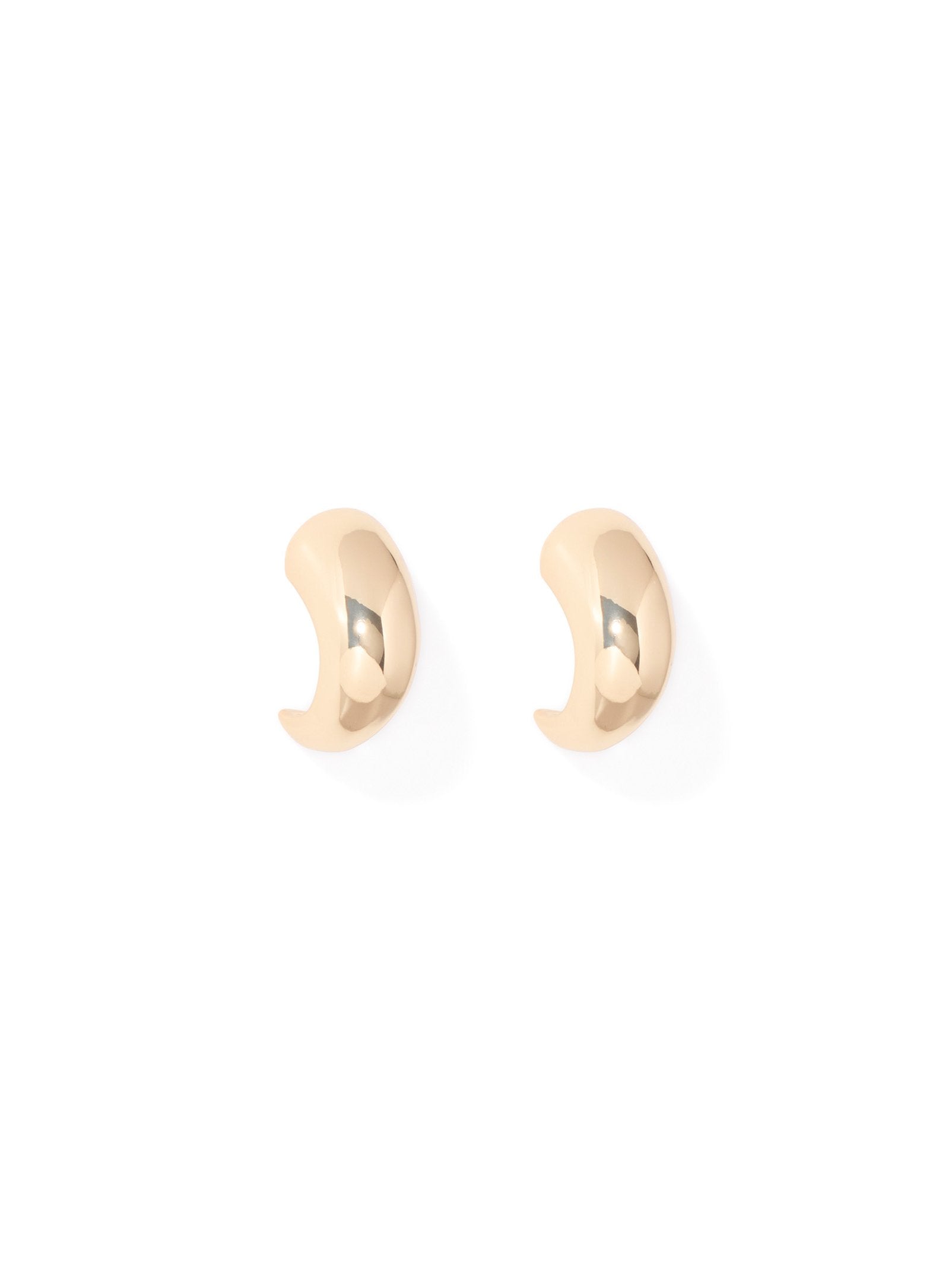 Signature Amara Small Hook Hoop