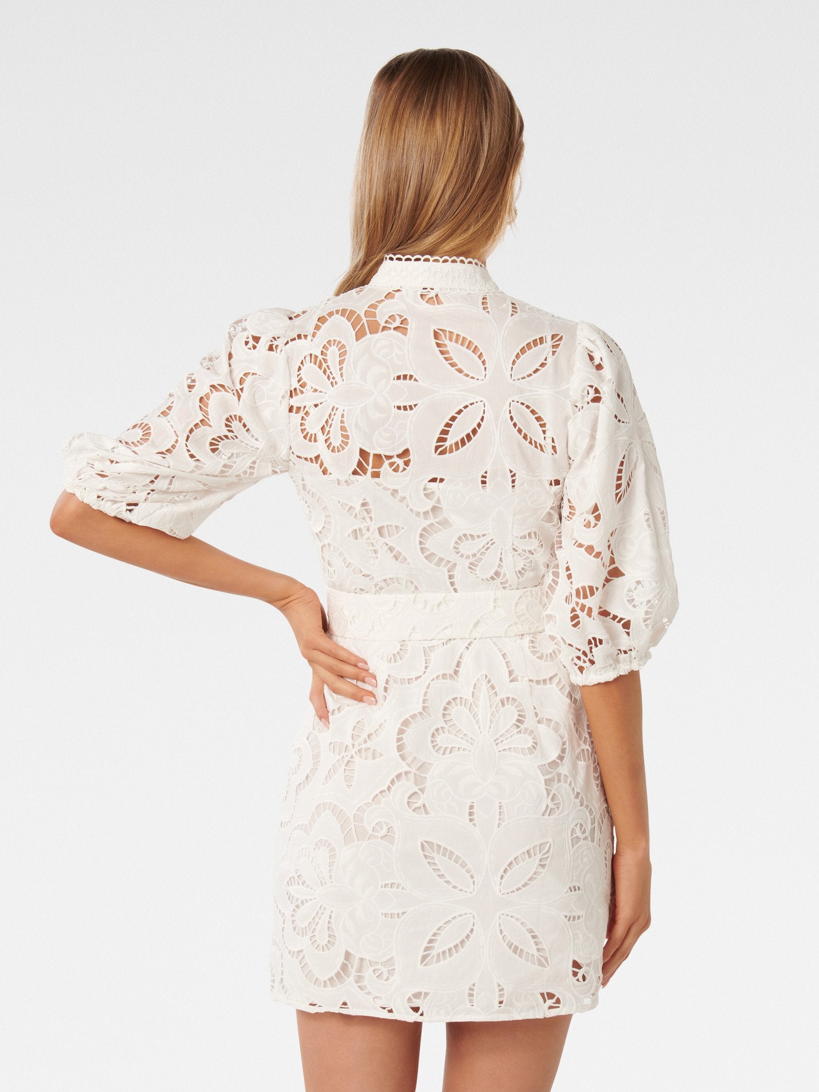  Claudia Broderie Mini Dress