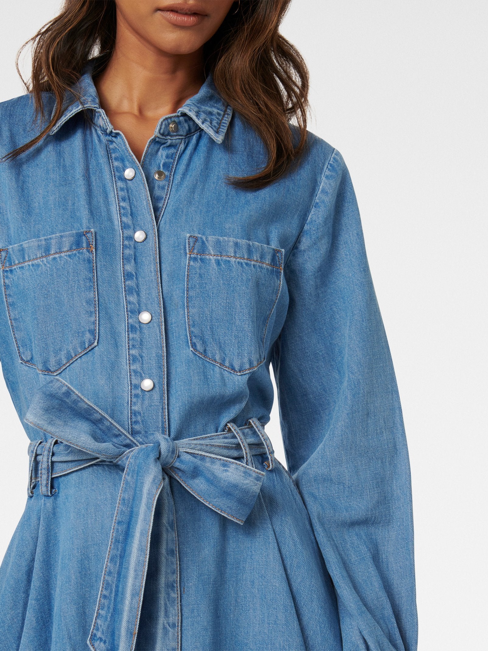  Colette Petite Denim Shirt Dress