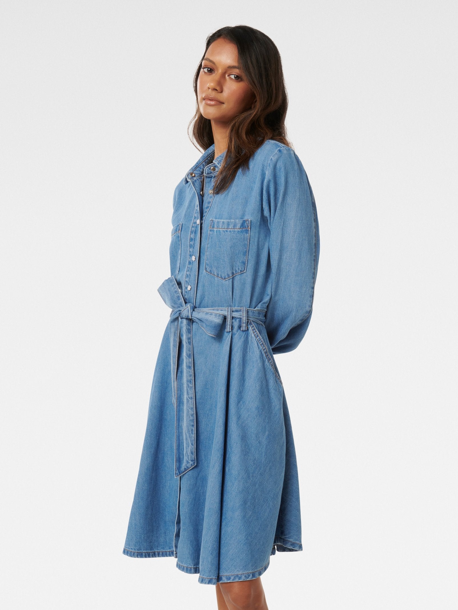  Colette Petite Denim Shirt Dress