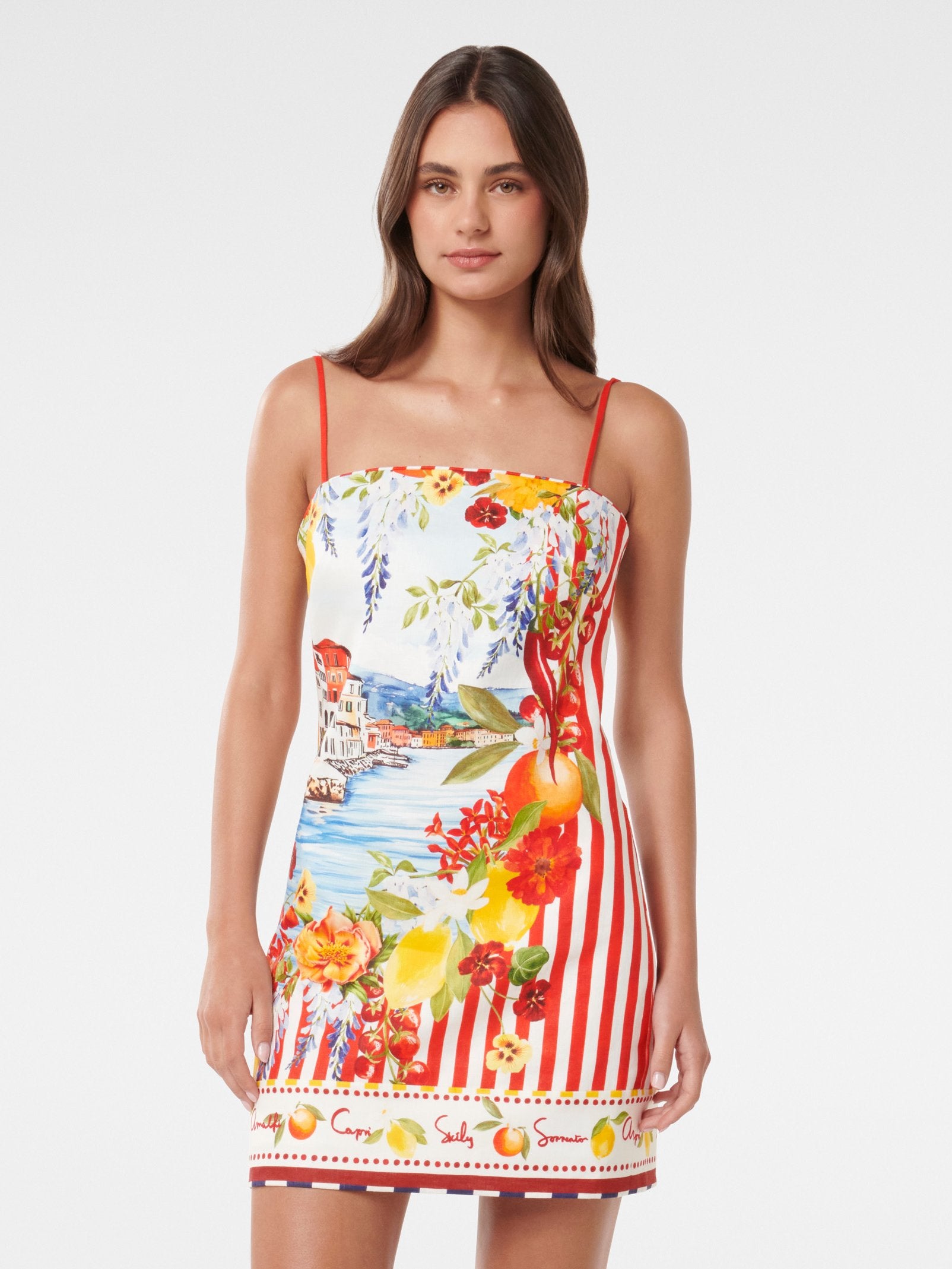 Sierra Printed Mini Dress