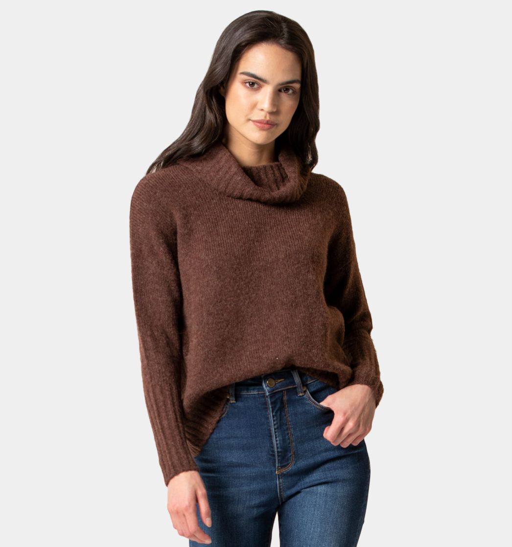 Buy Mayleen Roll Neck Knit Jumper at Forever New